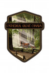 Cathedral Grove, Canada - Deer & Fawns - Contour - Lantern Press Artwork
