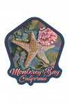 Monterey Bay, California - Tidepool - Contour - Lantern Press Artwork