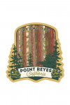 Point Reyes, California - Redwoods Forest View - Contour - Lantern Press Artwork