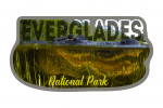 Everglades National Park, Florida - Alligator Underwater - Contour - Photography
