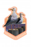 Yachats, Oregon - Seagulls - Contour - Lantern Press Artwork