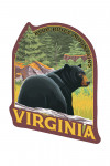 Blue Ridge Mountains, Virginia - Black Bear in Forest - Contour - Lantern Press Artwork