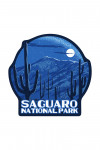 Saguaro National Park, Arizona - Rincon Peak - Night Sky - Contour - Lantern Press Artwork