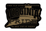 Virginia State Pride - Gold on Black - Contour - Lantern Press Artwork