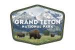 Grand Teton National Park, Wyoming - Buffalo & Mountain Scene - Contour - Lantern Press Photography