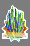 Organ Pipe Cactus National Monument, Arizona - Cactus - Watercolor - Contour - Lantern Press Artwork