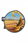 Organ Pipe Cactus National Monument, Arizona - Lithograph - Scorpion - Contour