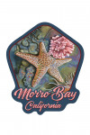 Morro Bay, California - Tidepool - Contour - Lantern Press Artwork