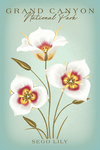 Grand Canyon National Park, Arizona - Vintage Flora Series - Sego Lily