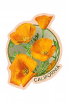 California - Poppy Flowers - Contour - Lantern Press Artwork