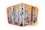 Flagstaff, Arizona - Aspen Trees - Fall Colors - Contour - Lantern Press Photography