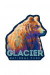 Glacier National Park, Montana - Vivid - Grizzly Bear - Contour