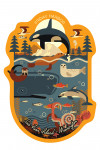 Friday Harbor, Washington - San Juan Island - Geometric - Marine Animals - Contour