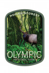 Olympic National Park, Washington - Hoh Rain Forest & Elk - Contour