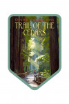 Glacier National Park, Montana - Trail of the Cedars - Contour