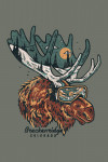 Breckenridge, Colorado - Ski Moose