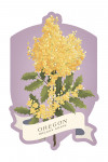 Oregon - Vintage Flora - State Series - Contour