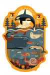 Roche Harbor, Washington - San Juan Island - Marine Animals - Geometric - Contour - Lantern Press Artwork