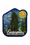 Sequoia National Forest, California - Starry Night National Park Series - Contour