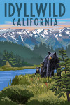 Idyllwild, California - Black Bear with Cubs - Summer Scene
