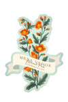 Mesa Verde National Park, Colorado - Globemallow - Vintage Flora - Contour
