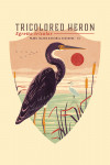 Padre Island National Seashore, Texas - Shorebirds at Sunset Collection - Tricolored Heron, Bird - Contour - Lantern Press Artwork