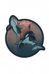 Orca - Lithograph - Contour
