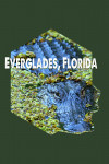 Everglades, Florida - Photography - Alligator in Swamp Water - Contour