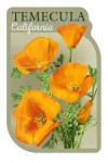 Temecula, California - Poppies - Contour
