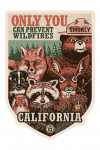 California - Smokey Bear & Woodland Creatures - Only You Can Prevent Wildfires - Contour