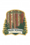 Muir Woods National Monument, California - Forest View - Contour