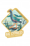 Big Cypress National Preserve, Florida - Purple Gallinule - Graphic Pastel - Contour - Lantern Press Artwork