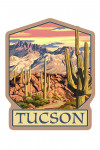 Tucson, Arizona - Painterly - Desert Cactus Trail Scene at Sunset - Contour
