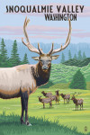 Snoqualmie Valley, Washington - Elk Herd