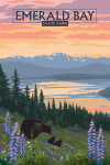Lake Tahoe, California - Bear and Cubs with Spring Flowers V2