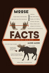 Facts About Moose - Lantern Press Artwork - Contour