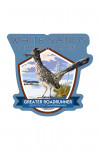 White Sands National Park, New Mexico - Roadrunner - Contour