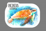 Encinitas, California - Sea Turtle - Watercolor - Contour - Lantern Press Artwork