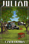 Julian, California - Apple Orchard Harvest
