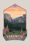 Yosemite National Park, California - Bear and Cubs with Flowers - Contour