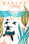 Naples, Florida - Courageous Explorer - Turtles on Beach, Pause Respect Protect