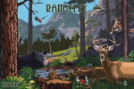Rangeley, Maine - Wildlife Utopia
