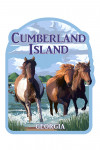 Cumberland Island, Georgia - Painterly - Horses Running on the Shore - Contour
