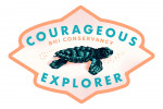 Bald Head Island, North Carolina - Bald Head Island Conservancy - Courageous Explorer - Baby Sea Turtle - Contour