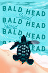 Bald Head Island, North Carolina - Bald Head Island Conservancy - Painterly - Baby Sea Turtle