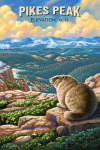Colorado Springs, Colorado - Oil Painting - Marmot on Ledge - Aramark Pikes Peak