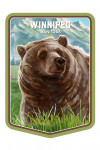 Winnipeg, Manitoba - Watercolor Study - Grizzly Bear - Contour