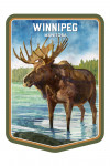 Winnipeg, Manitoba - Watercolor Study - Moose - Contour
