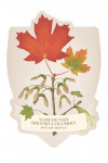 Vancouver, British Columbia - Contour