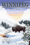 Winnipeg, Manitoba - Painterly - Bison Snow Scene